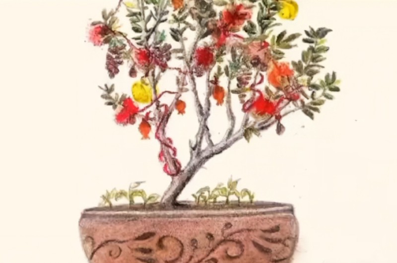 εικόνα του δέντρου που συμβολίζει το έθιμο