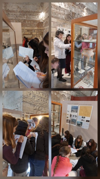 φωτογραφίες από  τη δράση εντός του μουσείου